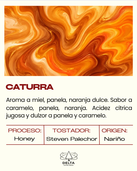Caturra Honey