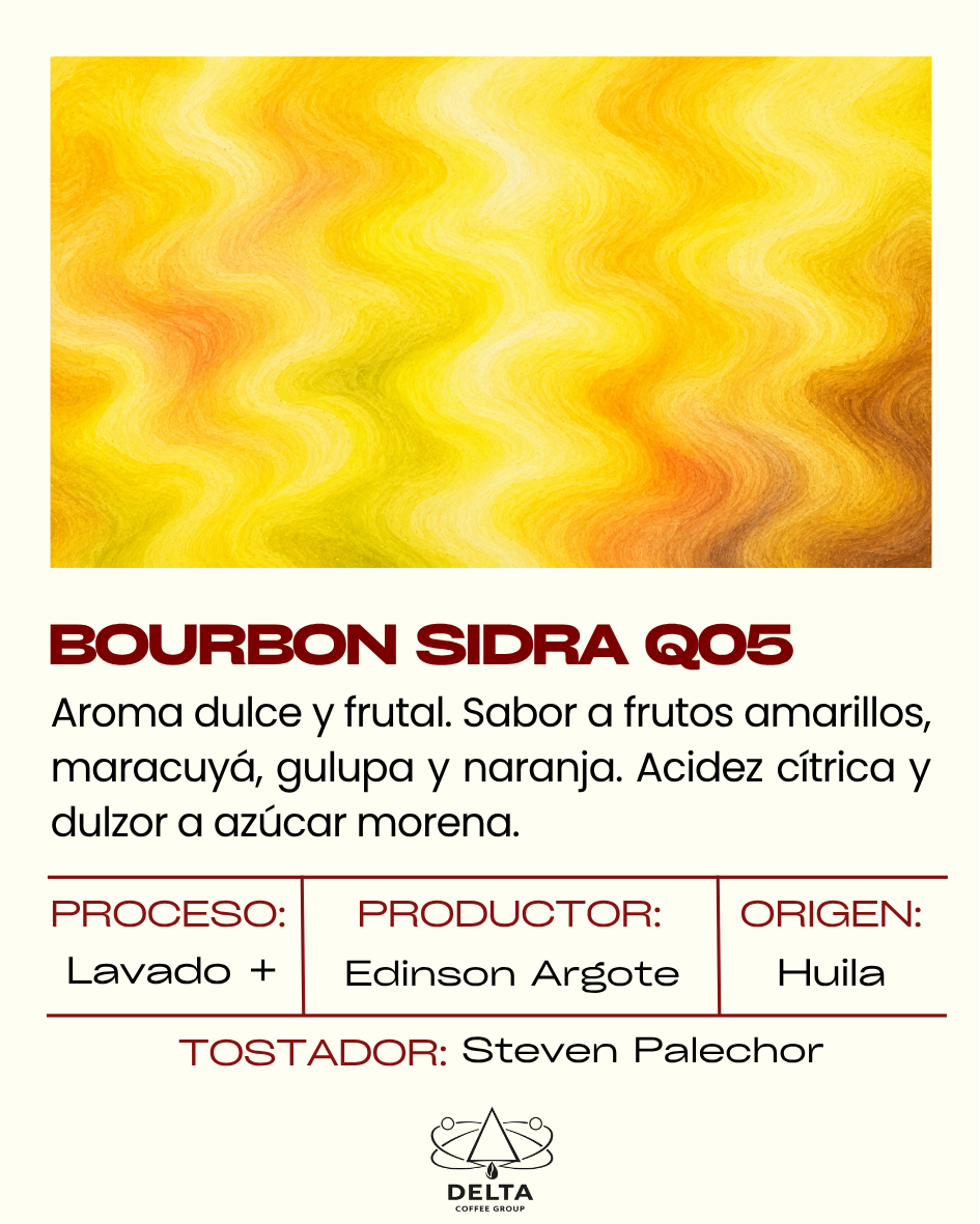 Bourbon Sidra Q05