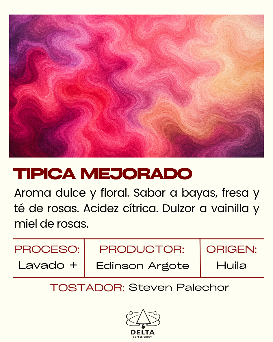 Tipica Mejorado